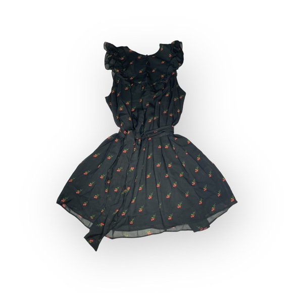 new Wildfox Couture ♥︎ Dolly Rose Print Mini Dress ♥︎ Black with Red Roses ♥︎ M - Picture 5 of 17